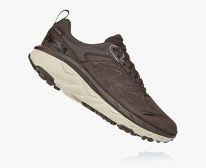 Hoka One One Men's Challenger Low GORE-TEX Wide Trail Shoes Brown Canada [RPUIS-0469]